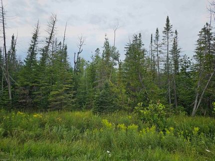 Undeveloped Land for sale in Alpena County, Michigan