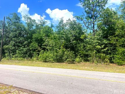 Land for sale in Washington County, Florida