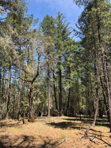 Undeveloped Land for sale in Josephine County, Oregon