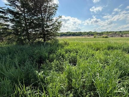 Undeveloped Land for sale in Steele County, Minnesota
