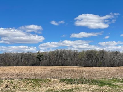 Undeveloped Land for sale in Mille Lacs County, Minnesota