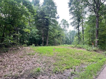 Undeveloped Land for sale in Franklin County, Virginia