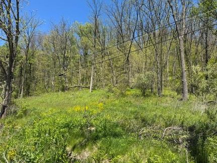 Recreational Property for sale in Bradford County, Pennsylvania