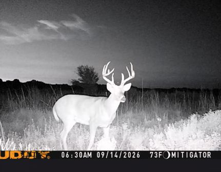 Land for sale in Harper County, Kansas
