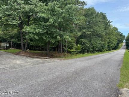 Undeveloped Land for sale in Bibb County, Georgia