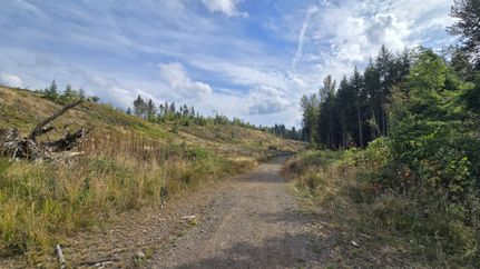 Undeveloped Land for sale in Pierce County, Washington