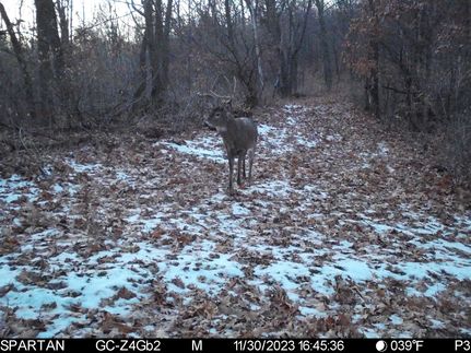 Land for sale in Trempealeau County, Wisconsin