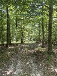 Hunting Property for sale in Benton County, Tennessee