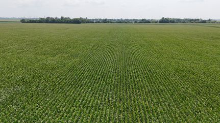 Land for sale in Clay County, Minnesota