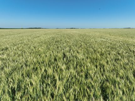 Land for sale in Clay County, Minnesota