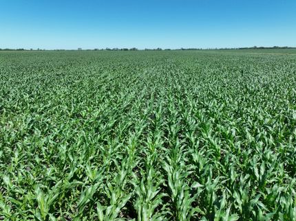 Farm and Ranch for sale in Wilkin County, Minnesota