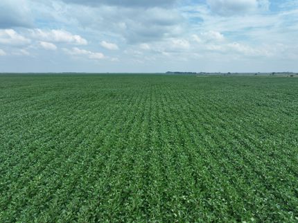 Land for sale in LaMoure County, North Dakota