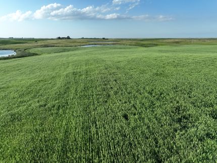 Land for sale in Stutsman County, North Dakota