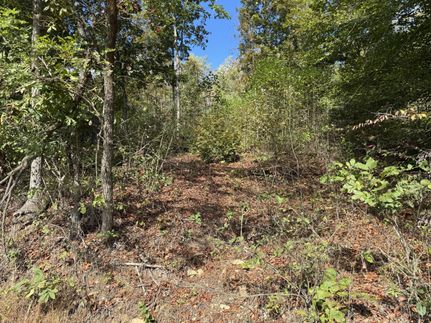 Undeveloped Land for sale in Fleming County, Kentucky