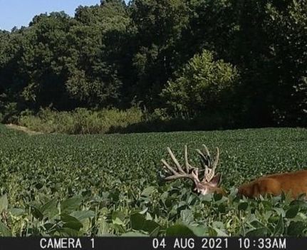 Land for sale in Muhlenberg County, Kentucky