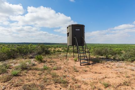 Farm and Ranch for sale in Fisher County, Texas