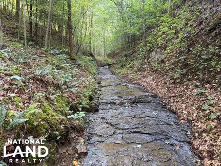 Land for sale in Breathitt County, Kentucky