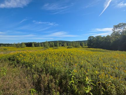 Undeveloped Land for sale in Chenango County, New York