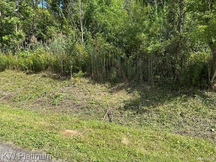 Land for sale in Saint Clair County, Michigan