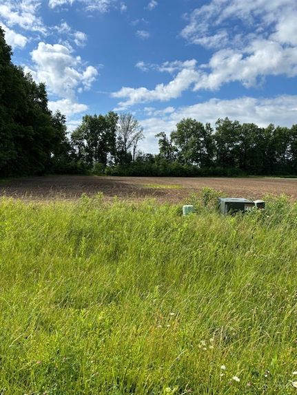 Undeveloped Land for sale in Clinton County, Ohio