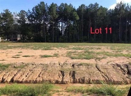 Undeveloped Land for sale in Rapides Parish, Louisiana