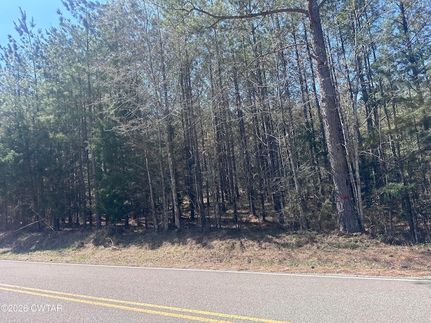 Undeveloped Land for sale in Decatur County, Tennessee