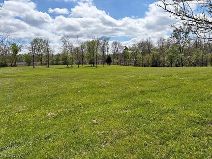 Timberland Property for sale in Lorain County, Ohio