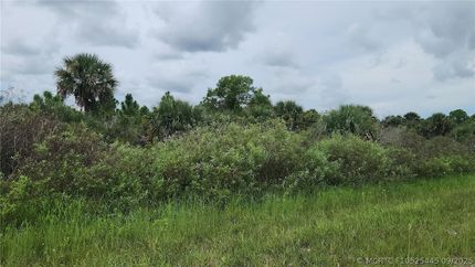 Undeveloped Land for sale in Okeechobee County, Florida
