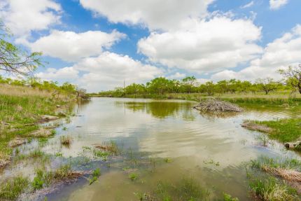 Undeveloped Land for sale in Runnels County, Texas