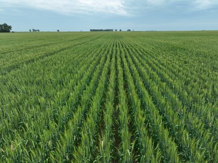 Land for sale in Ward County, North Dakota