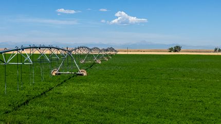 Land for sale in Weld County, Colorado