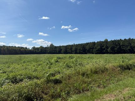 Land for sale in Beaufort County, North Carolina