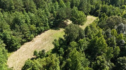 Land for sale in Cullman County, Alabama