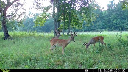 Land for sale in Rhea County, Tennessee