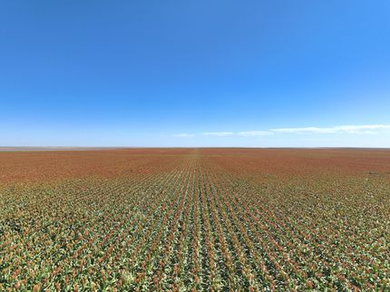 Land for sale in Lane County, Kansas
