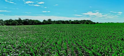 Farm and Ranch for sale in Pratt County, Kansas