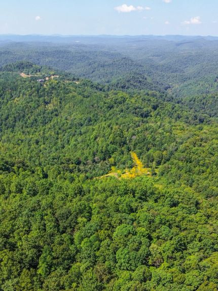 Land for sale in Campbell County, Tennessee
