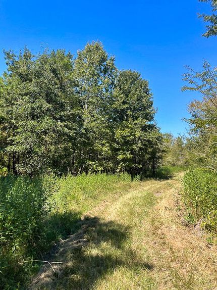 Land for sale in Trinity County, Texas