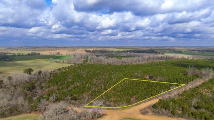 Land for sale in Geneva County, Alabama