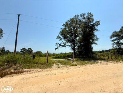 Timberland Property for sale in Washington County, Alabama