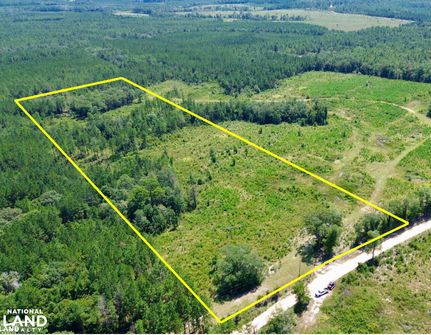 Land for sale in Washington County, Alabama