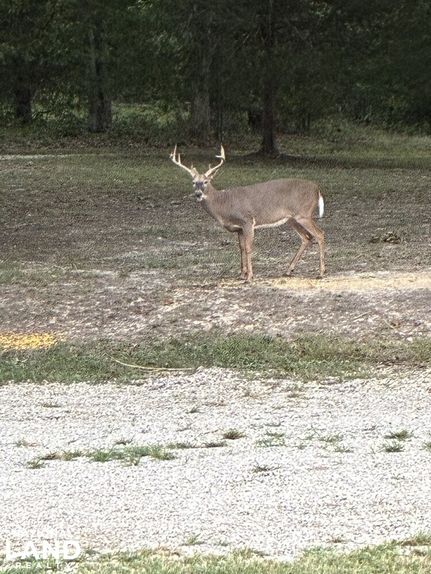 Timberland Property for sale in Crawford County, Missouri