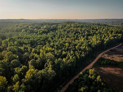 Undeveloped Land for sale in Webster County, Mississippi