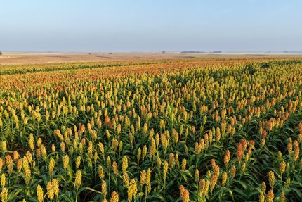 Farm and Ranch for sale in Hodgeman County, Kansas