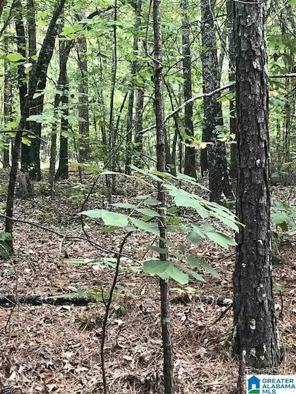 Land for sale in Talladega County, Alabama