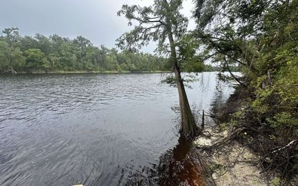 Homesite for sale in Lafayette County, Florida