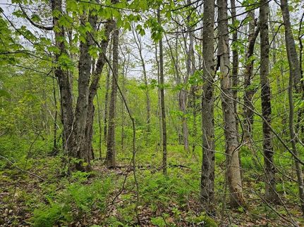 Undeveloped Land for sale in Franklin County, Maine