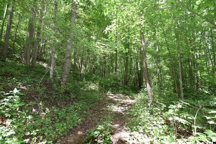 Timberland Property for sale in Hocking County, Ohio