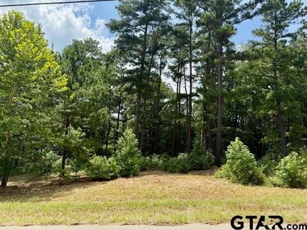 Land for sale in Smith County, Texas