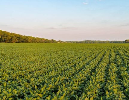 Farm and Ranch for sale in Greene County, Iowa